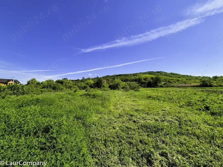 Teren intravilan Vranesti , Calinesti Arges - 5