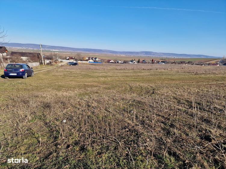 Teren 1800mp intravilan Sarata - 4