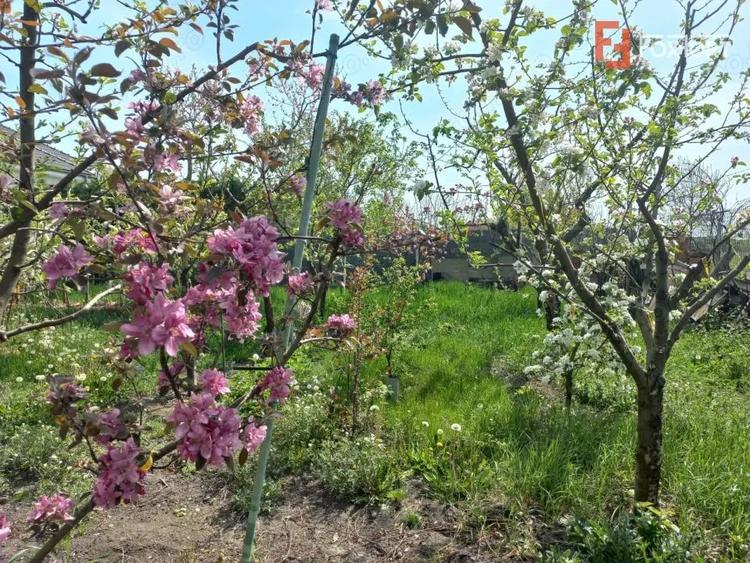 Casa individuala | 5 camere | Teren generos 805 mp | Giarmata Vii - 5