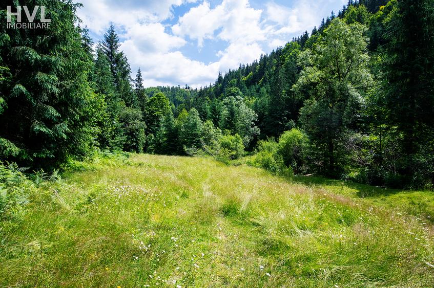 Teren curti constructii in Arieseni - 3