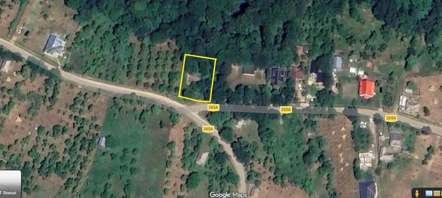 Vand teren Bradulet _Slamnesti - 1