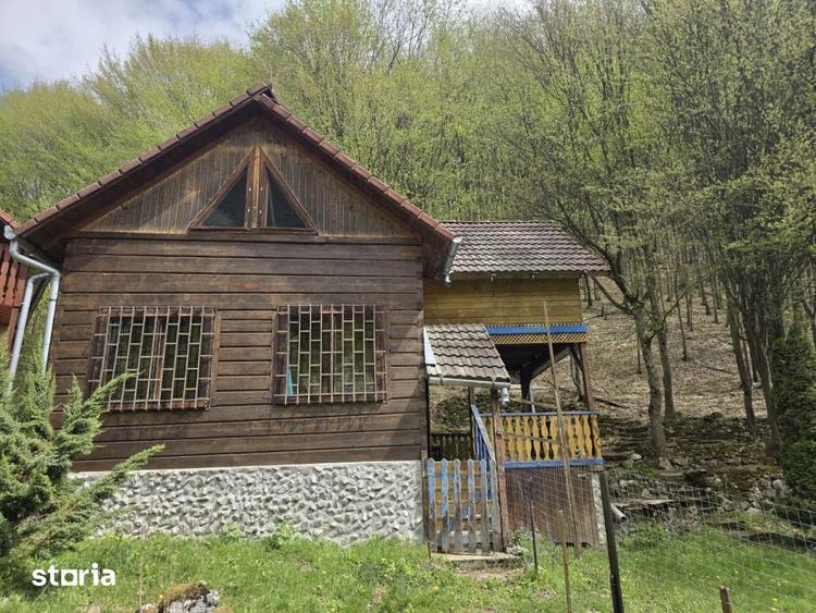 Cabana Iezer Ighiel panorama superba, liniste si potential de inve - 7