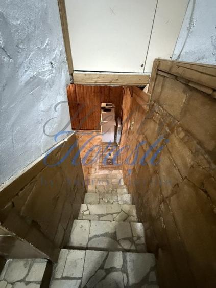 Spatiu comercial de inchiriat 108,8 mp - Zona Paris, VAD excelent - 3