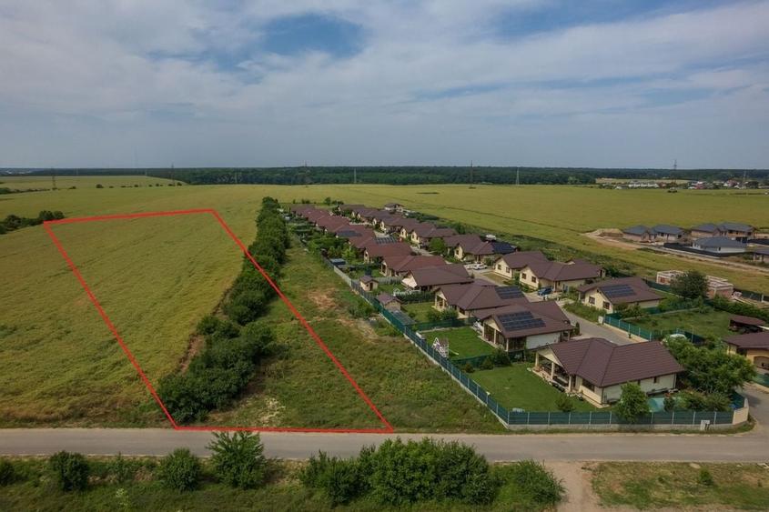 Teren intravilan, Balotești, Strada Cameliei 36, 10.000 mp - 2
