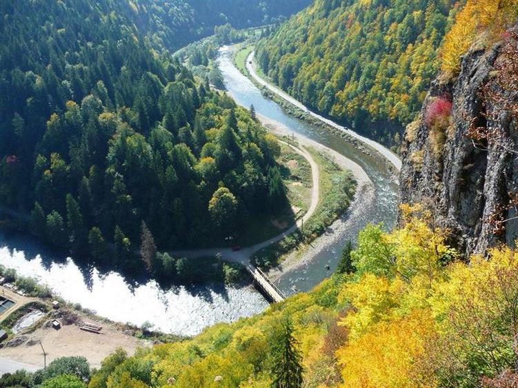 De vanzare casa de vacanta/locuit  in Lunca Bradului - 21