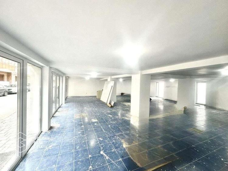 Spatiu pretabil pentru birouri sau clinica medicala, la parter, 160mp - 9
