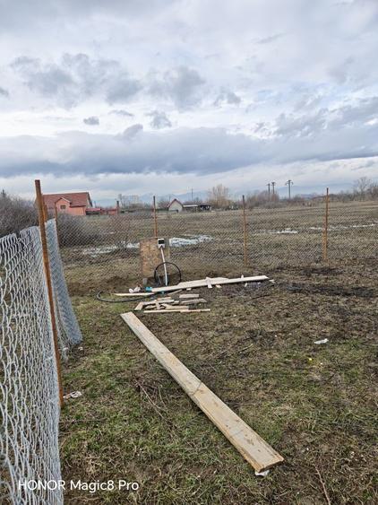 Teren casa Ana Ipatescu - 3