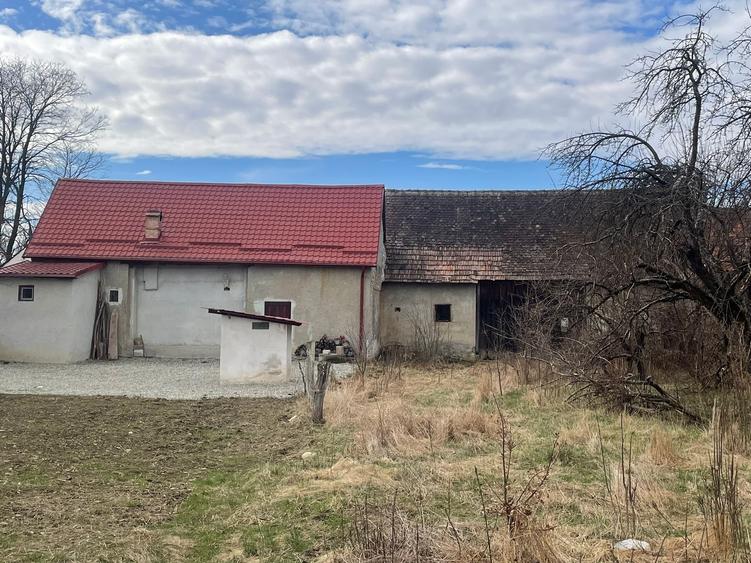 Casa veche cu sura zona linistita - 8