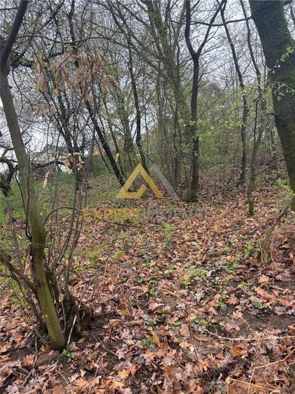 Teren intravilan in spate la Castel Transilvania 1.000mp - 8