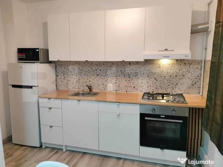 Apartament cochet de inchiriat , zona Plopilor - 4