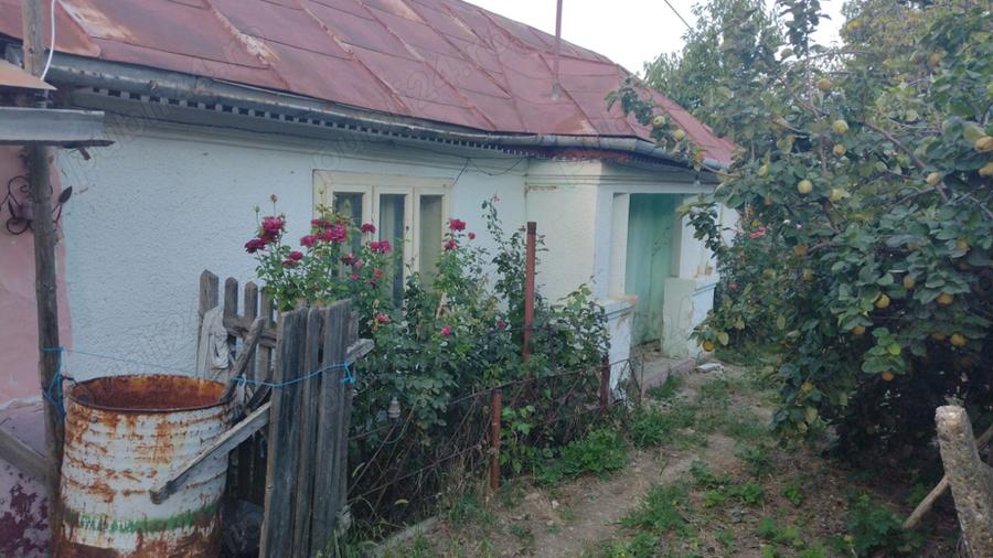 Casa batraneasca cu teren arabil si padure - 1