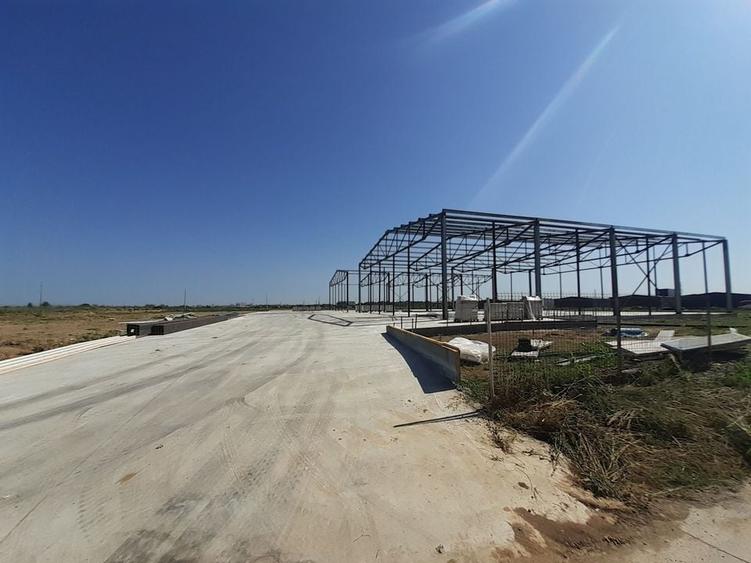 Hale noi in zona Gara Catelu, Drumul Intre Tarlale - 3