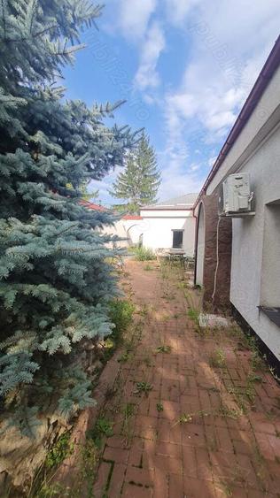 Vand cabinet medical, cabinet medical si locuinta sau locuinta in Frumusica, jud. Botosani - 2