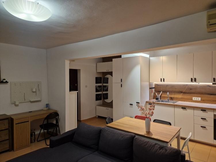 Proprietar, ap 2 camere, Timisoara, ultracentral - 3