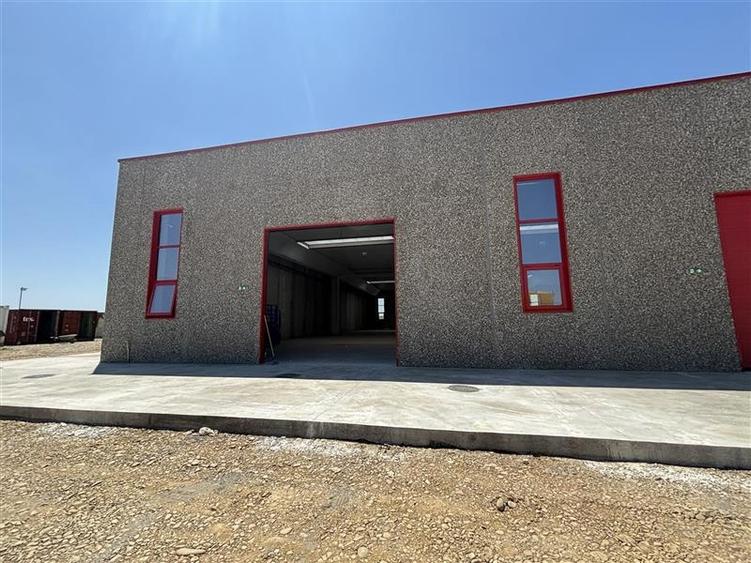 Vanzare depozit/spatiu industrial/hala Chitila - Rudeni, ILFOV - 3