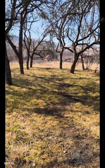 Teren intravilan, 2848 MP, Arghisu - 3