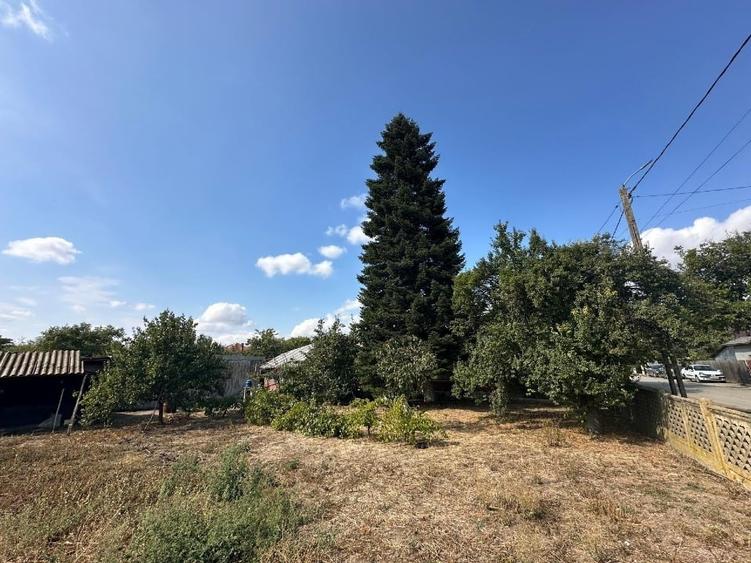 CASA CU TEREN DE VANZARE IN FRUMUSANI, LA 20 DE MINUTE DE BUCURESTI - 3