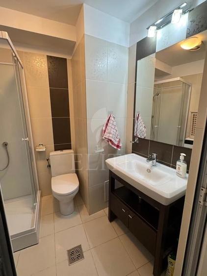 Apartament o camera &icirc;n zona piata Mihai Viteazul - 9