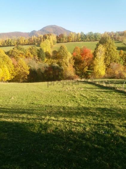 Teren intravilan de vanzare – Bran, Sohodol - 2