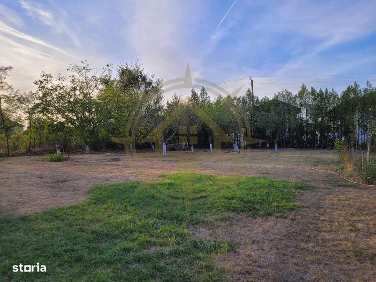 Dom00438 - de vanzare teren intravilan 1000 mp. corbeanca - 6