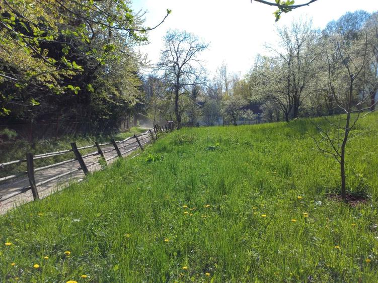 Teren de vanzare - 4