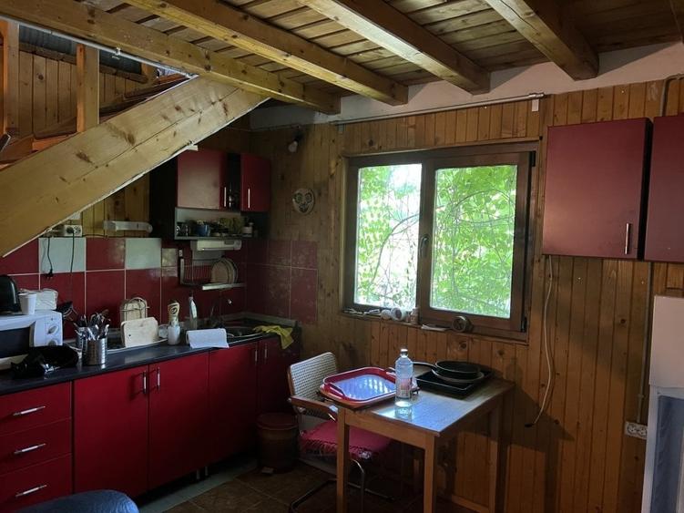 Casa-langa studiourile Buftea, 2 constructii, curte cu pomi, 2300mp, langa lac - 22