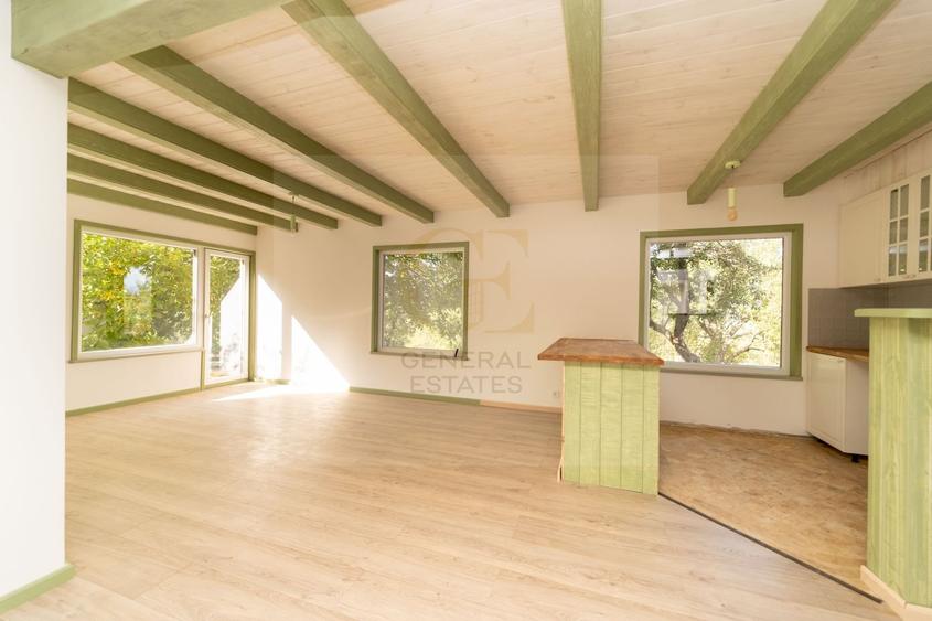 Casa de vacanță din Tohănița &acirc; locul unde muntele &icirc;nt&acirc;lnește liniștea - 9