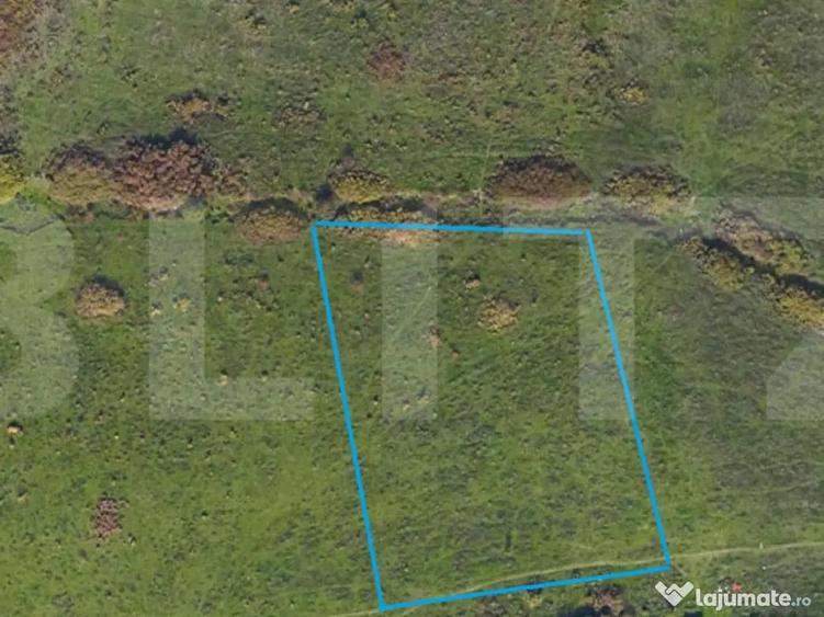 Parcela teren extravilan, 5000 mp, zona Mehala - 2