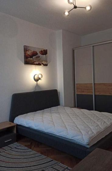 Apartament 2 camere, central, str Dorobantilor - 2