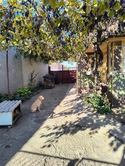 RECO casa Tamaseu - 11