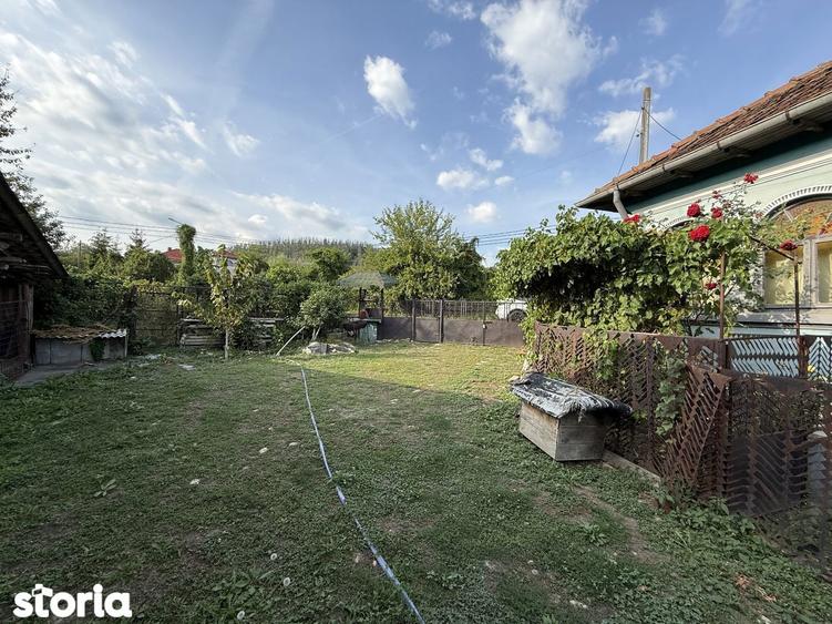 Vand Casa Batraneasca + Teren 1754 mp Com. Malureni Sat Bune?ti Arge? - 12