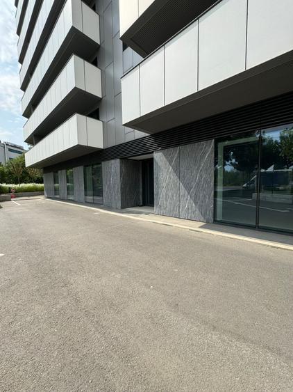 Spatiu Comercial | Stradal | 338 m2 | Trafic intens | Vitralii | - 11