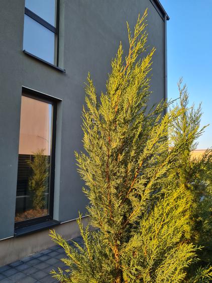 OMNIA. Nordisk elegans, maximal komfort. Kampanjpris Gratis för fantasin! - 11