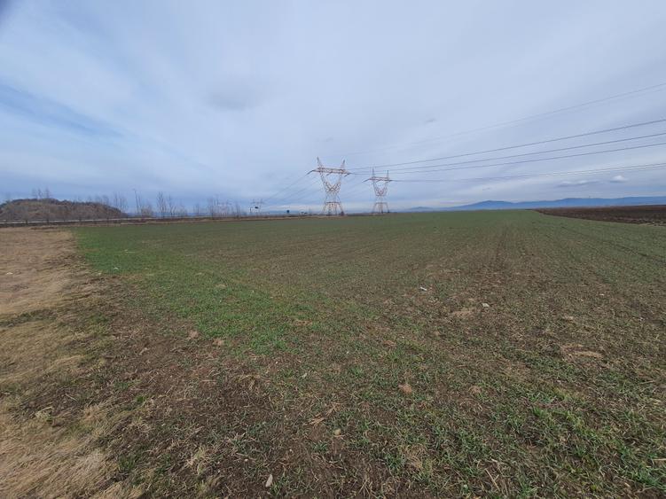 Teren centura Brasov pretabil investitie 5 euro/mp - 3