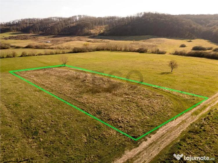 RECO teren intravilan in Betfia - 2