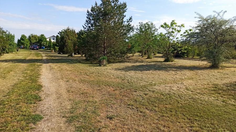 De vanzare 5 ha de teren - 6