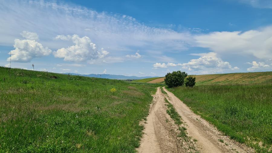 TEREN INTRAVILAN  BOD - 1200 mp pentru constructii case Sp+P+E+M - 12