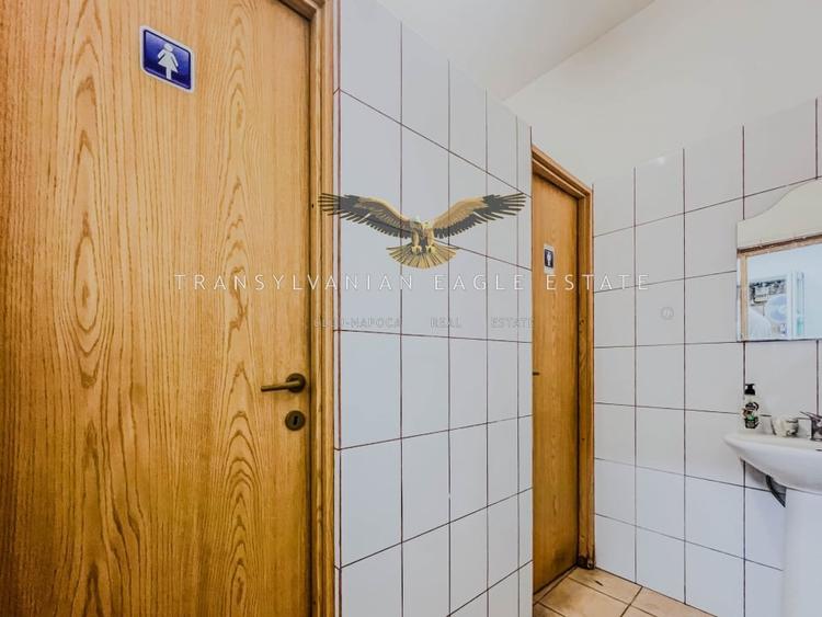 Oportunitate de inchiriere a unui spatiu industrial si de productie - 12