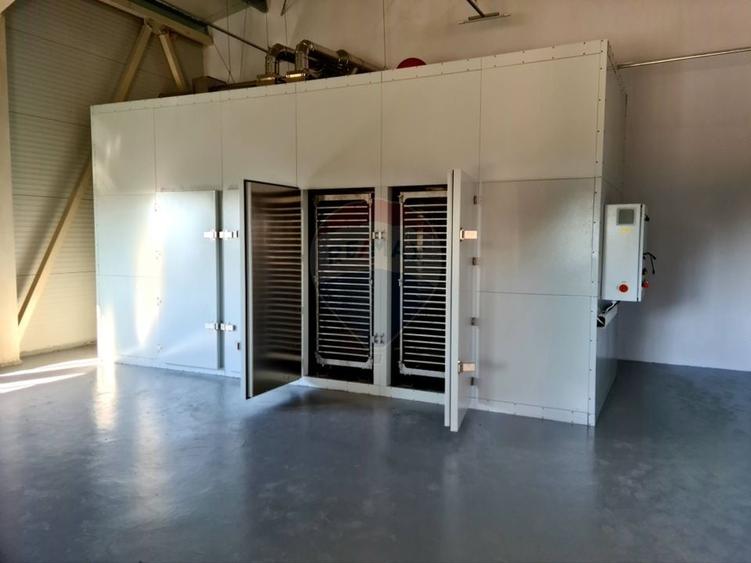 Teren agricol 13,1 ha + Hală 700 mp + Utilaje Agricole - Piscu, Galati - 16