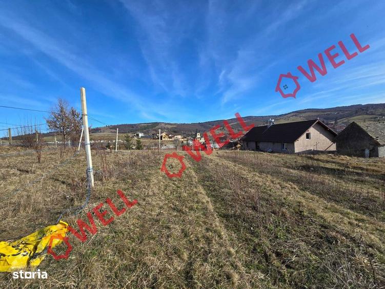 Teren intravilan de vanzare in Barcani, cu priveli?te deosebita! - 2