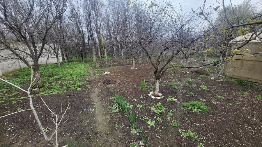 Casa  toate utilitatile Rosiorii de Vede  - 13