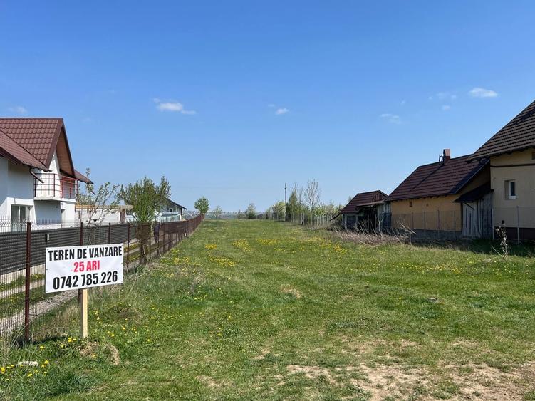 Parcela 2500 mp teren pentru constructie in Tisauti - 3