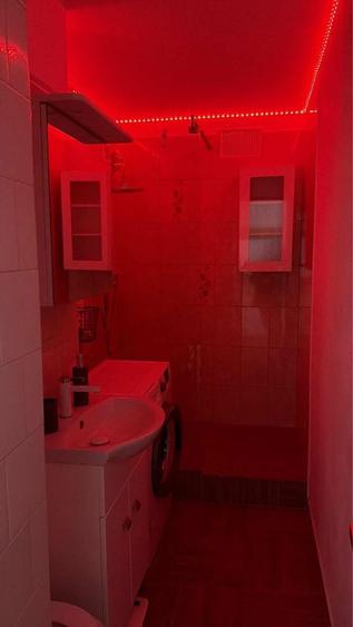 Apartament cu 1 camera in zona Sagului - 3