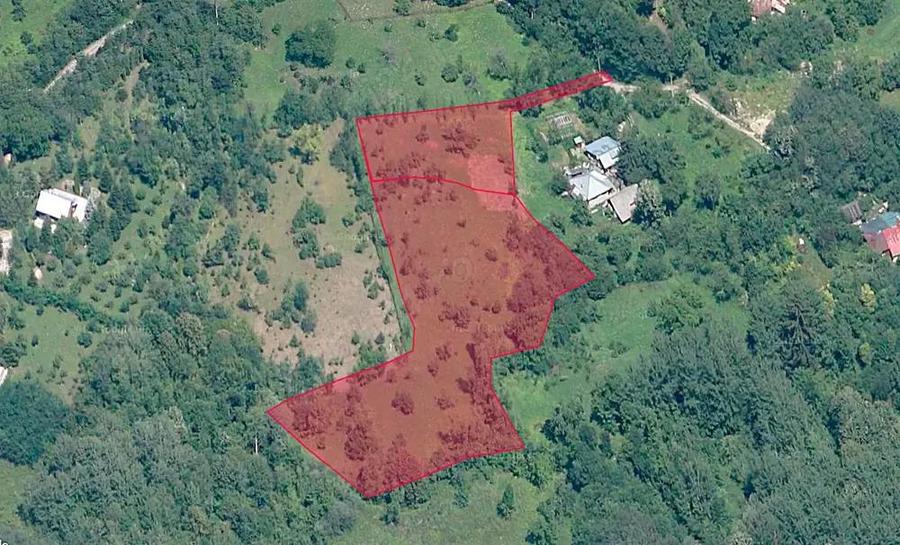 Teren intravilan 6.376 mp, Breaza, Valea Tarsei, ideal pentru pensiune sau casa de vacan?a. - 1