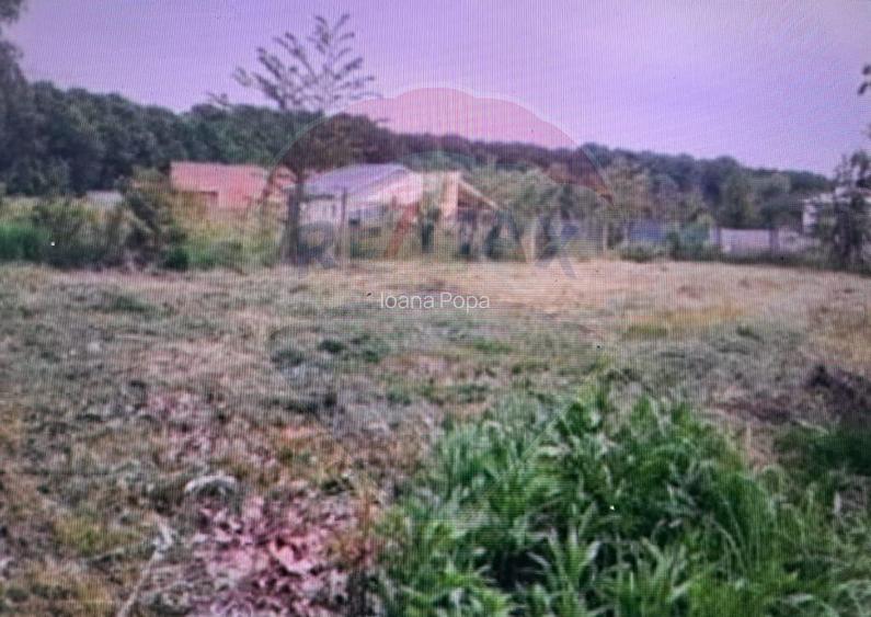 Lot teren 450 mp langa padure Ciolpani Fermei