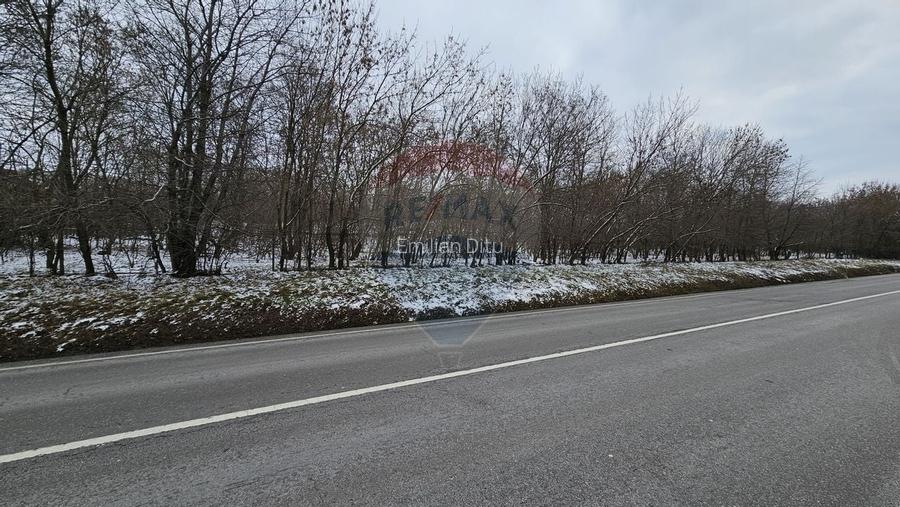 Teren 10,000mp Radaseni / Soseaua DN2-E85, judetul Suceava