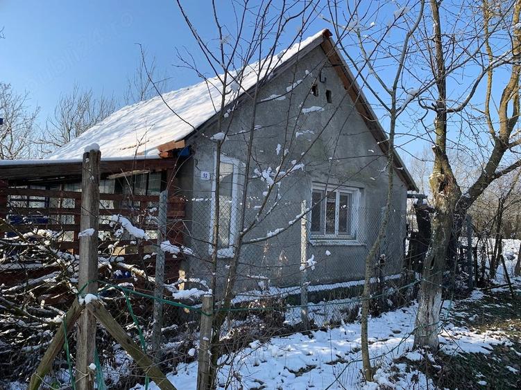 Casa de vanzare sat Tes, jud.Timis - 6