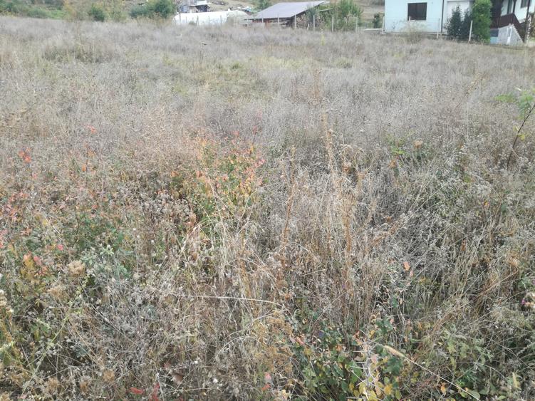 Vand teren in Iris - 1