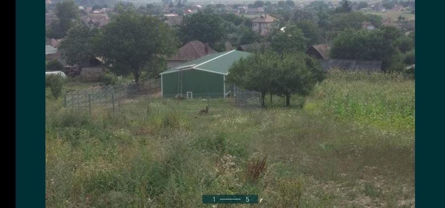 Hala la cheie si teren 4000 mp, Bontida - 5