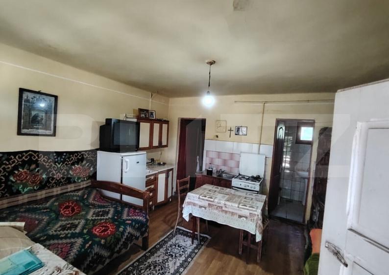Casa renovabila 2,2 arii taren in Raciu - 7